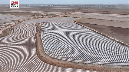 无码人妻少妇色欲AV一区二区