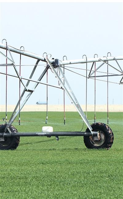 无码人妻少妇色欲AV一区二区