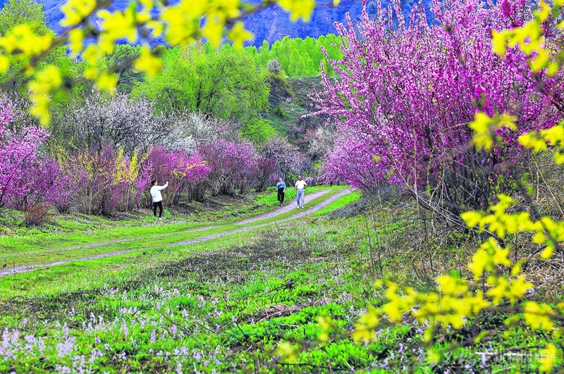 无码人妻少妇色欲AV一区二区