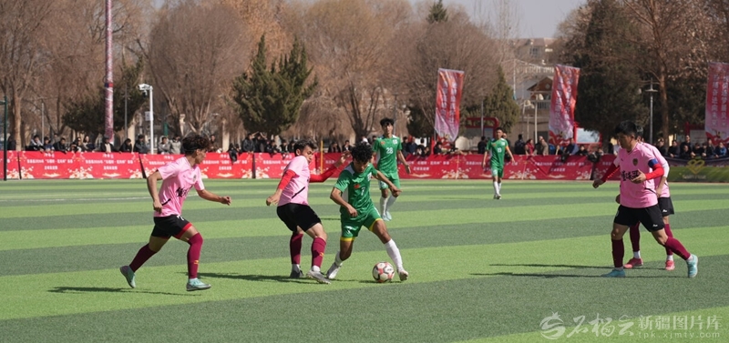 无码人妻少妇色欲AV一区二区