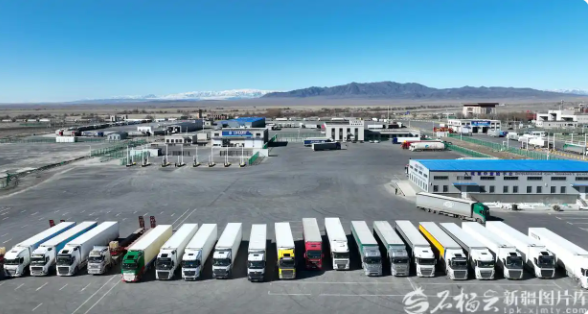 无码人妻少妇色欲AV一区二区