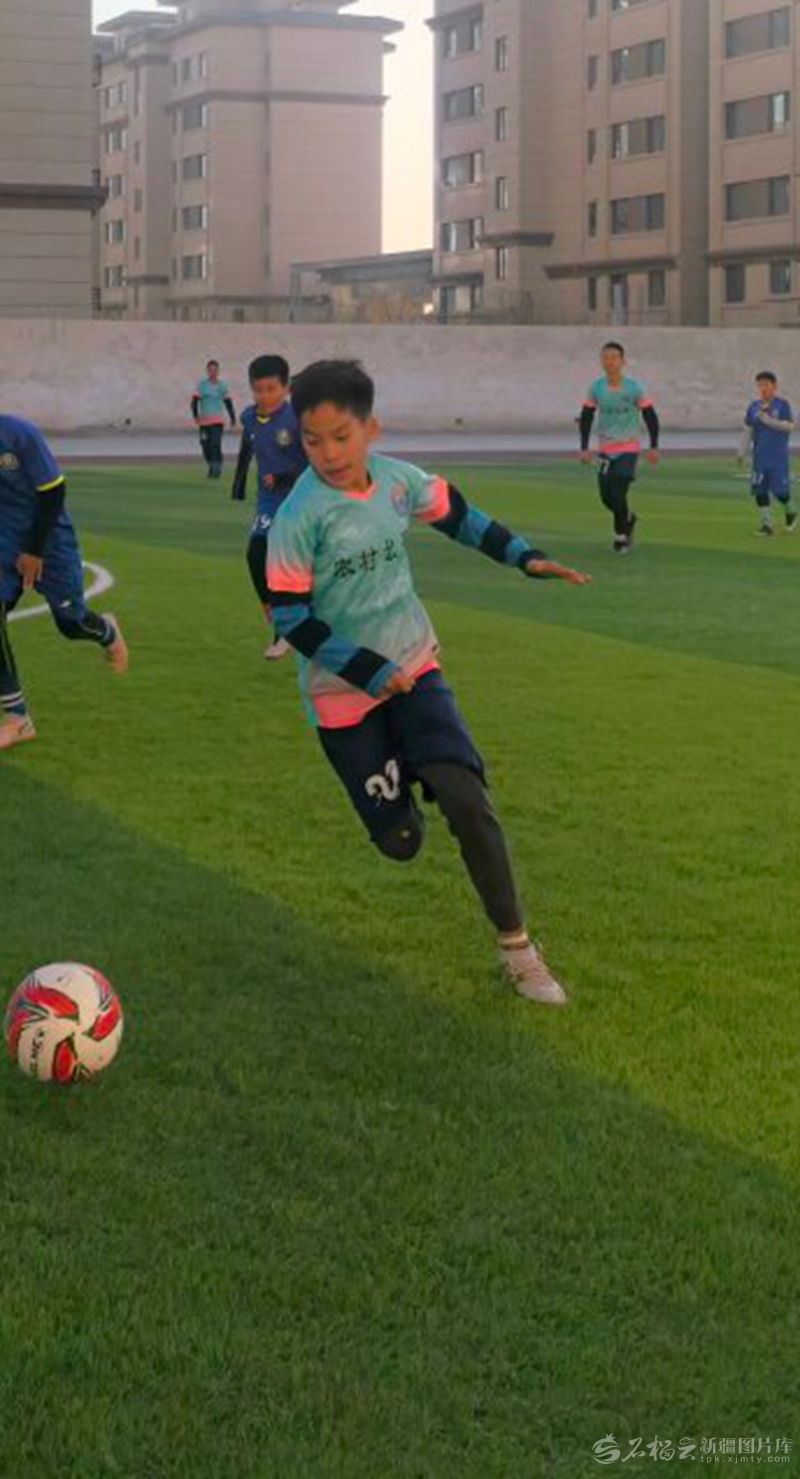 无码人妻少妇色欲AV一区二区