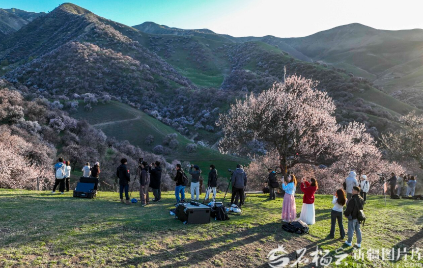 无码人妻少妇色欲AV一区二区