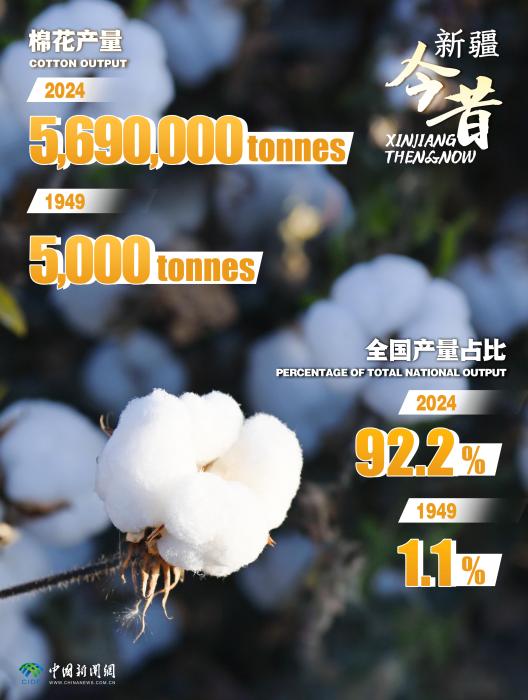 无码人妻少妇色欲AV一区二区