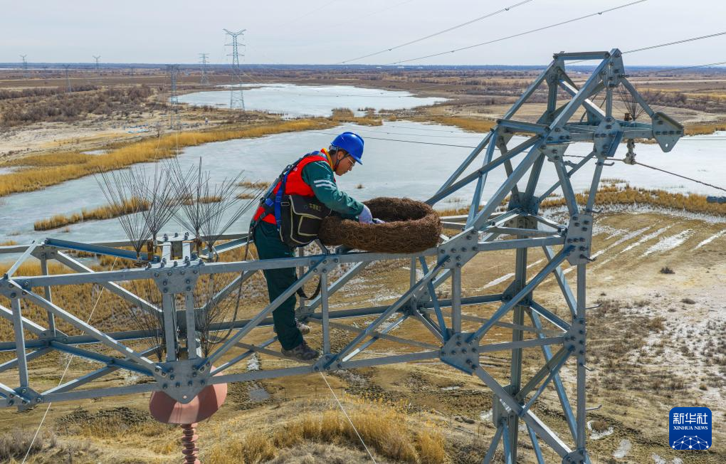 无码人妻少妇色欲AV一区二区