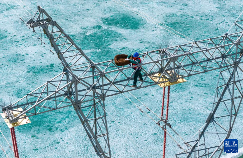 无码人妻少妇色欲AV一区二区