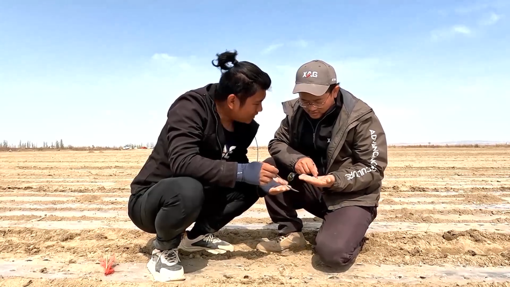 无码人妻少妇色欲AV一区二区