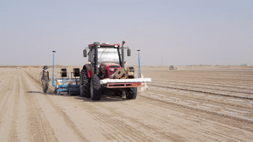 无码人妻少妇色欲AV一区二区