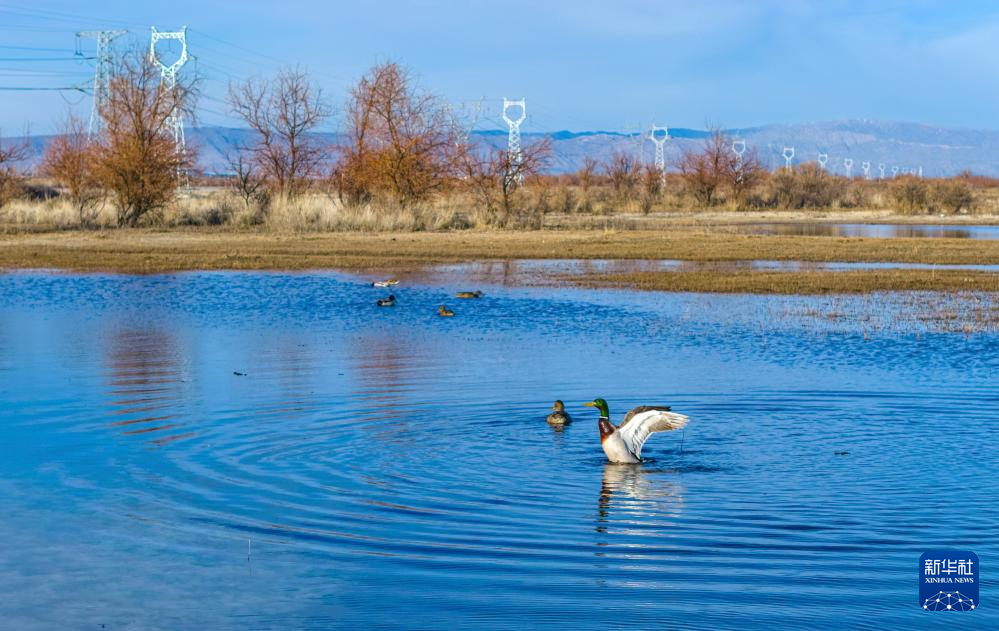 无码人妻少妇色欲AV一区二区
