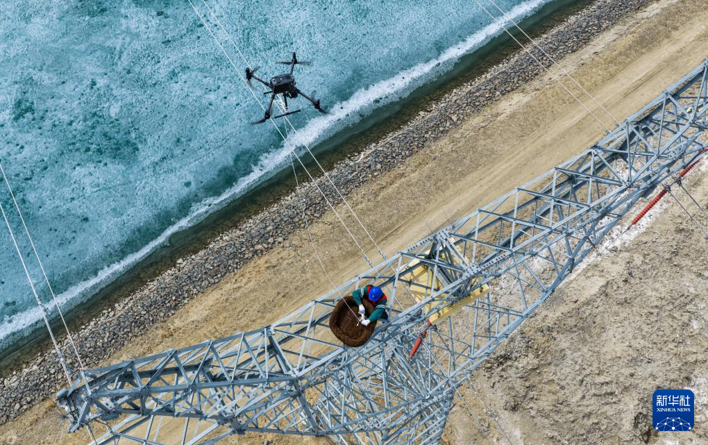 无码人妻少妇色欲AV一区二区