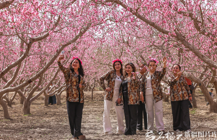 无码人妻少妇色欲AV一区二区