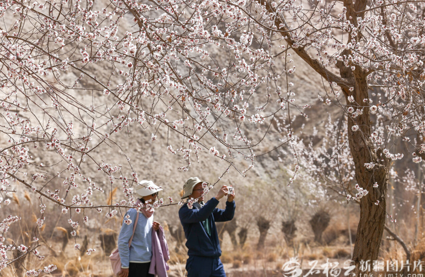 无码人妻少妇色欲AV一区二区